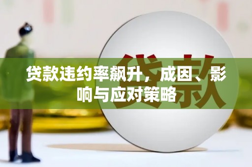 田家庵贷款违约率飙升，成因、影响与应对策略