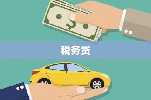 田家庵税务贷